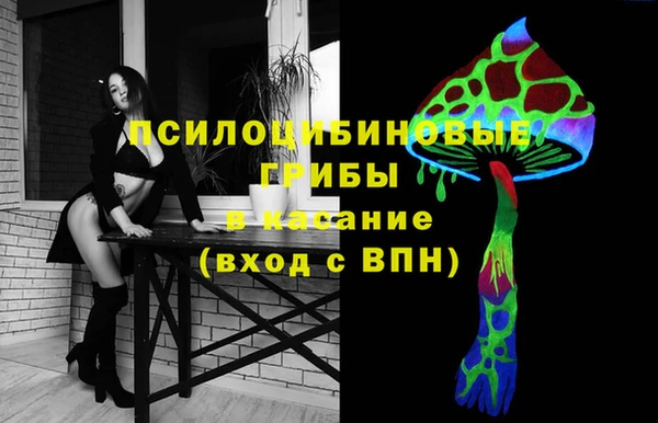 ALPHA PVP Каменногорск