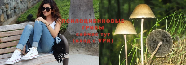 скорость mdpv Каменка