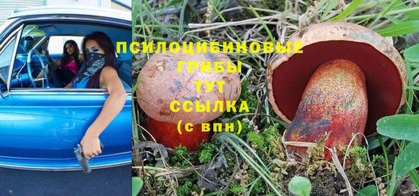 ALPHA PVP Каменногорск